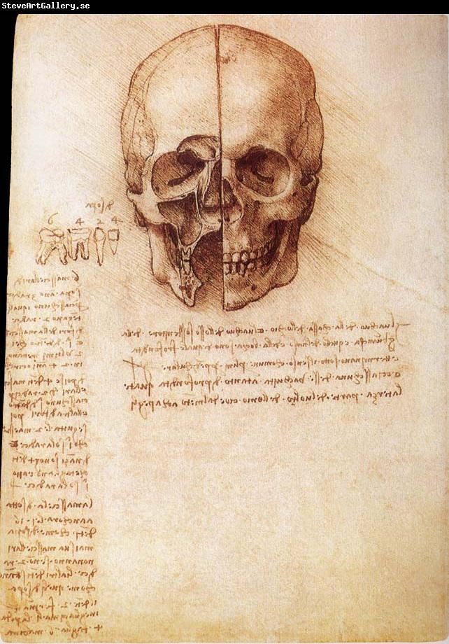 LEONARDO da Vinci Anatomy of the Schadels